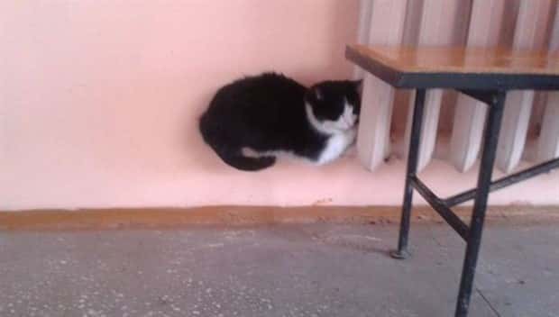 Bilderparade DCCCXCVII BP897_22