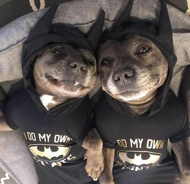 Bilderparade DCCCXCVII BP897_30 