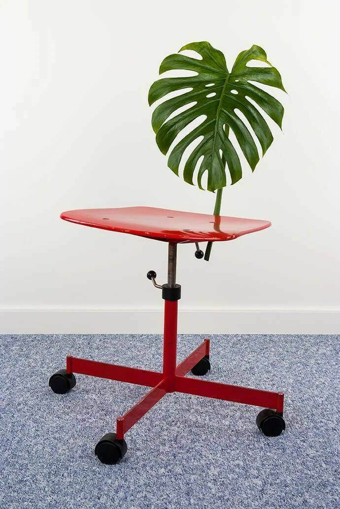 Bilderparade DCCCXCVII BP897_55 