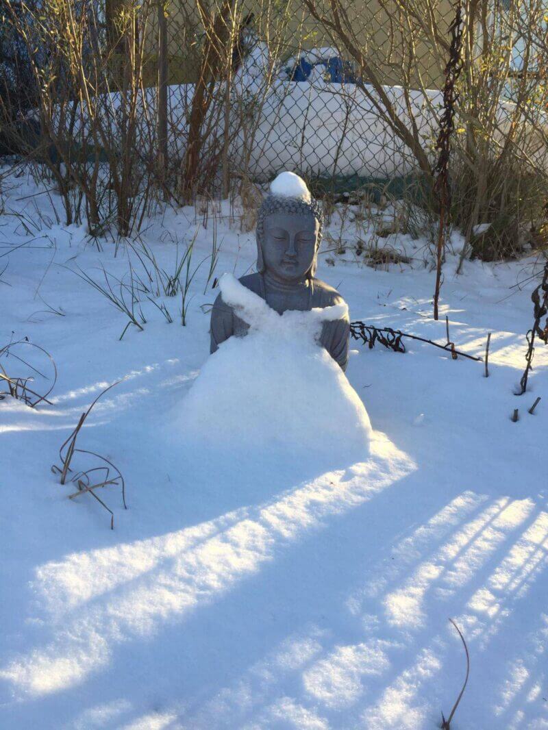 Bilderparade DCCCXCVII BP897_59 