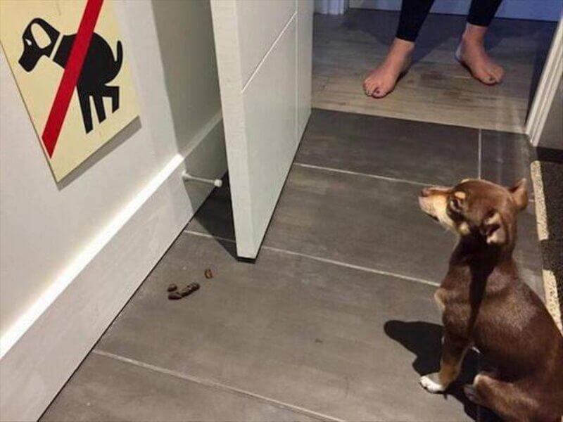 Bilderparade DCCCXCVII BP897_67 