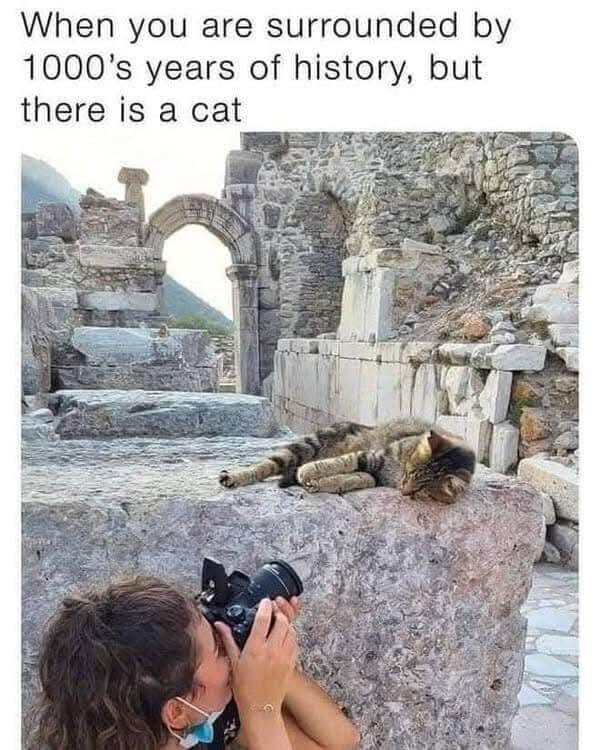 Bilderparade DCCCXCVII BP897_74 