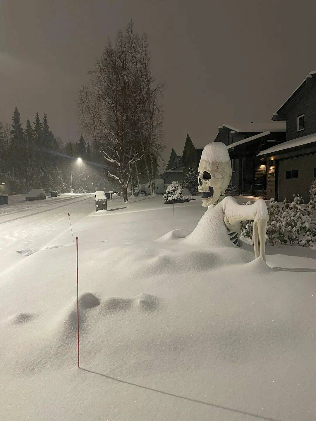 Bilderparade DCCCXCVII BP897_78 