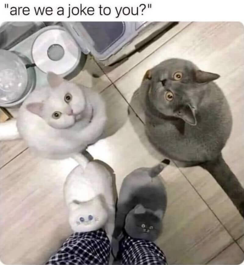 Bilderparade DCCCXCVII BP897_99 