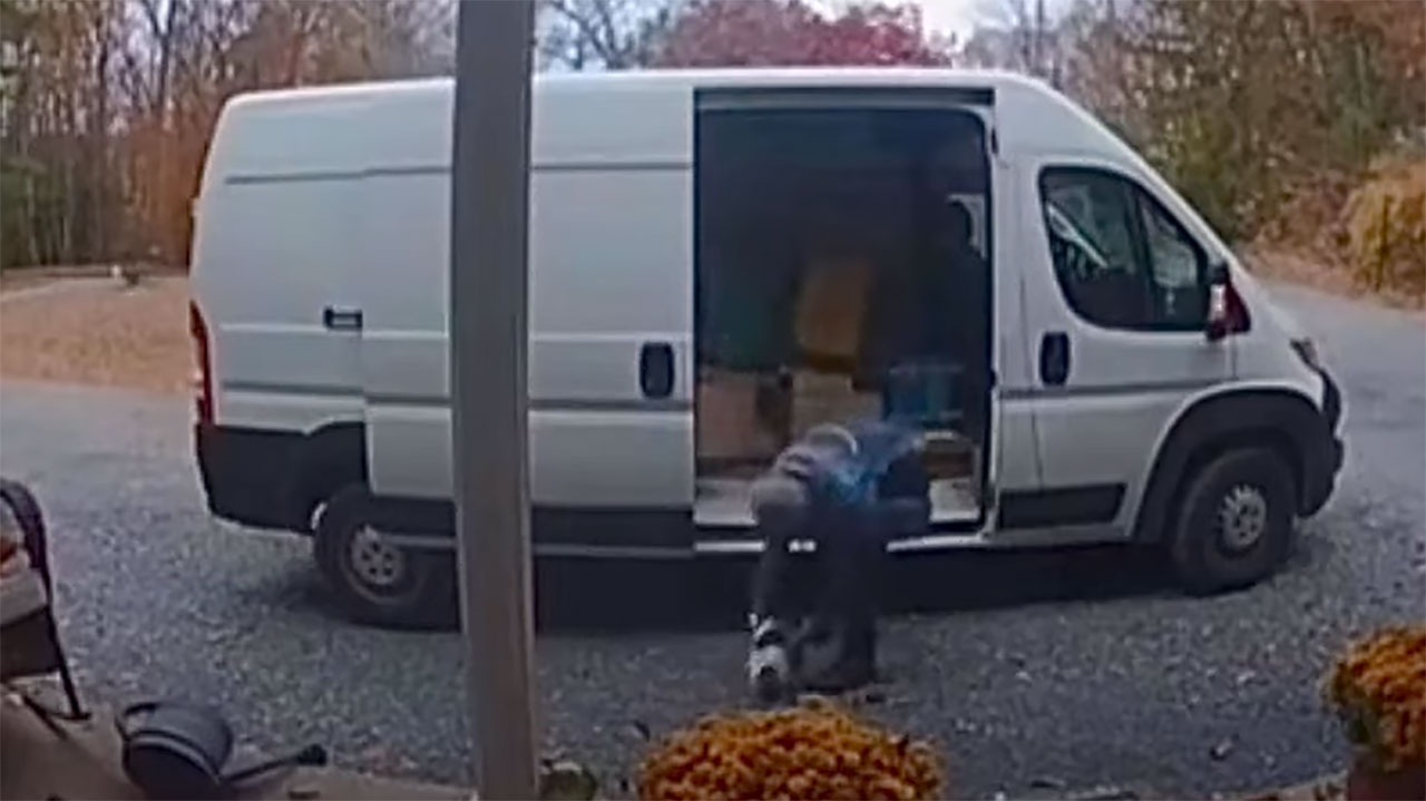 Lieferant vs. Katze lieferant-vs-katze