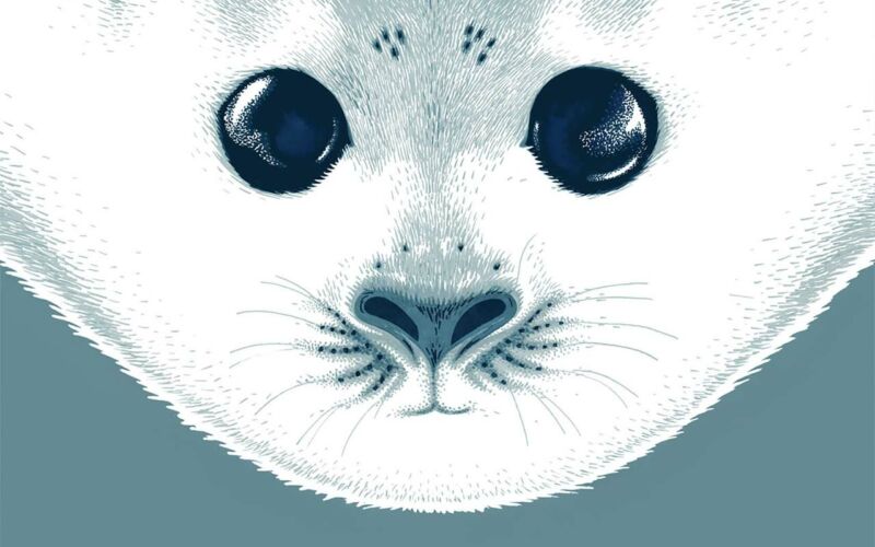 Gemälde wie Illustrationen von Amandine Delaunay