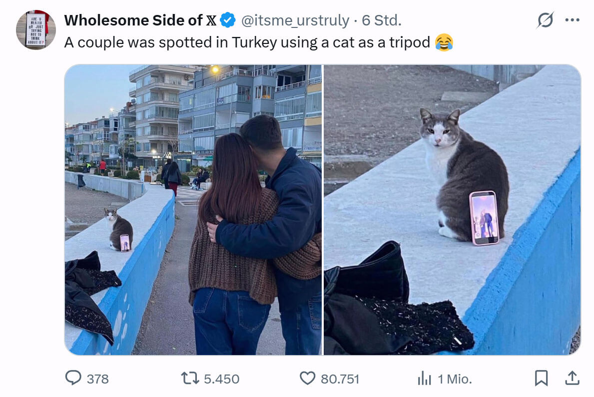 Bilderparade DCCCXCVIII BP898_04 