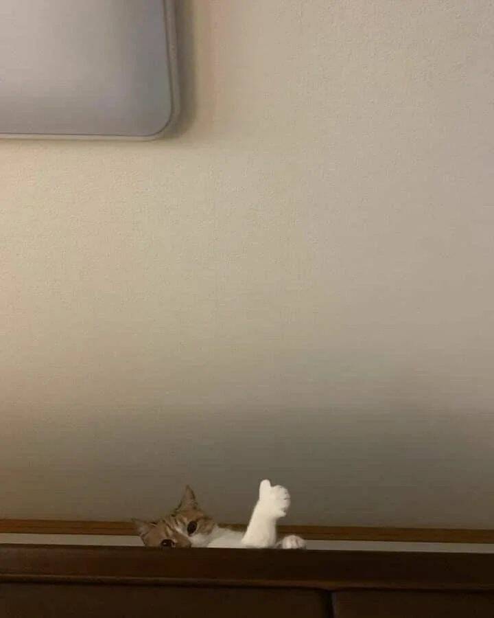 Bilderparade DCCCXCVIII BP898_100 