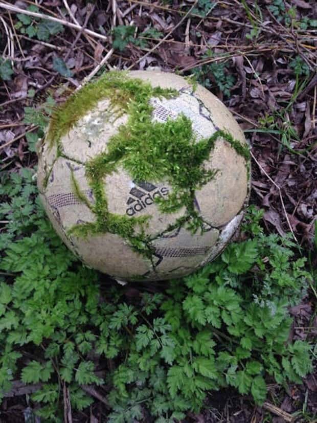 Bilderparade DCCCXCVIII BP898_15 