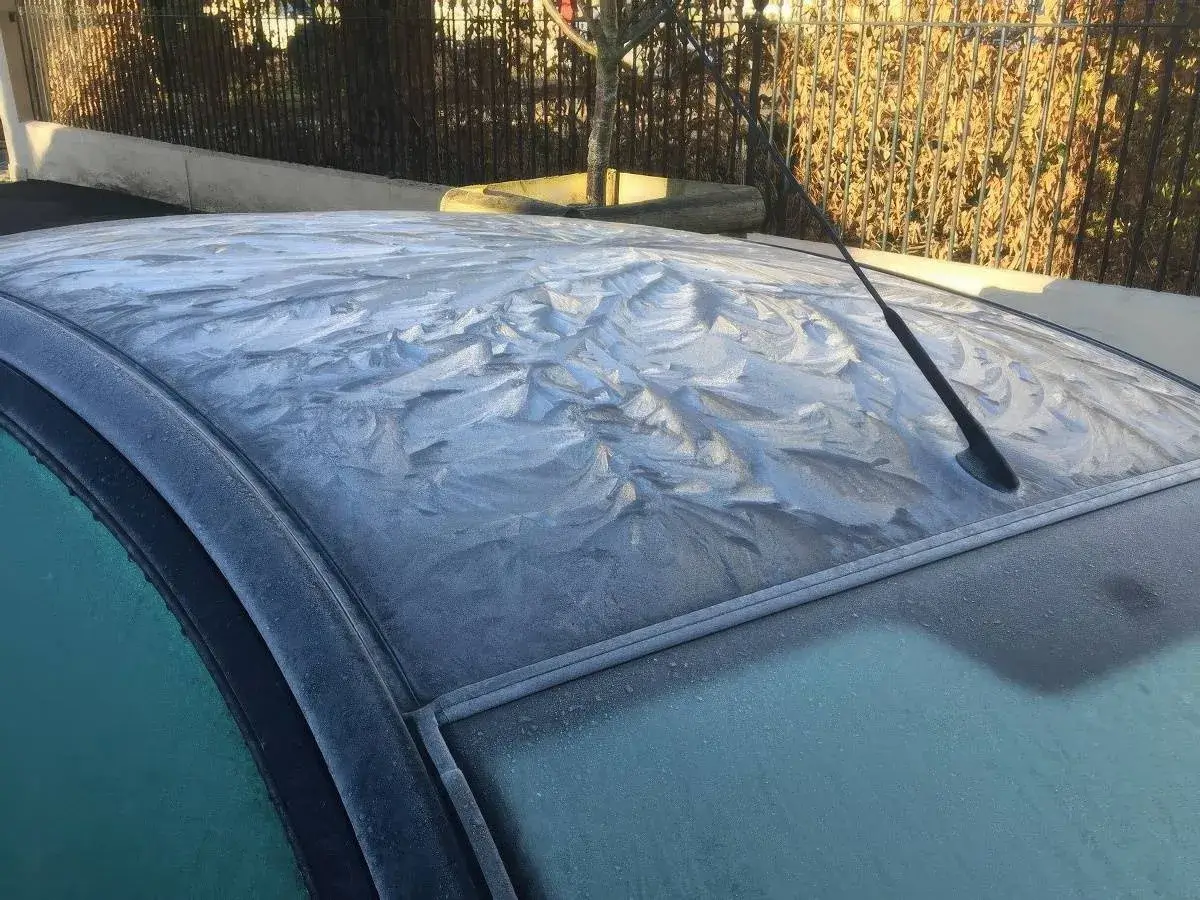 Bilderparade DCCCXCVIII BP898_29 