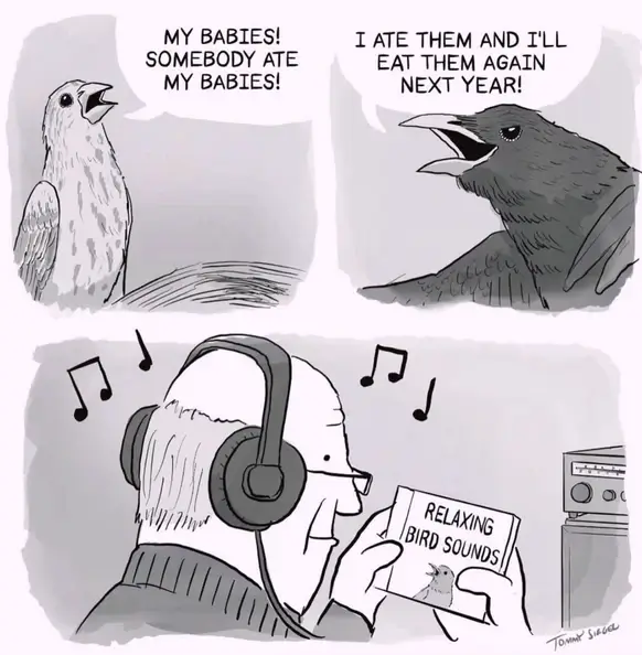 Bilderparade DCCCXCVIII BP898_41 