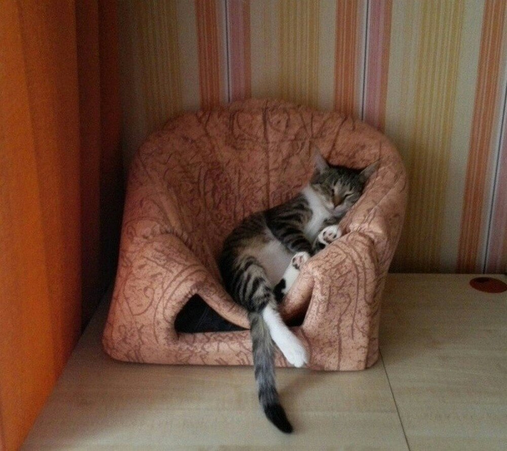 Bilderparade DCCCXCVIII BP898_44 