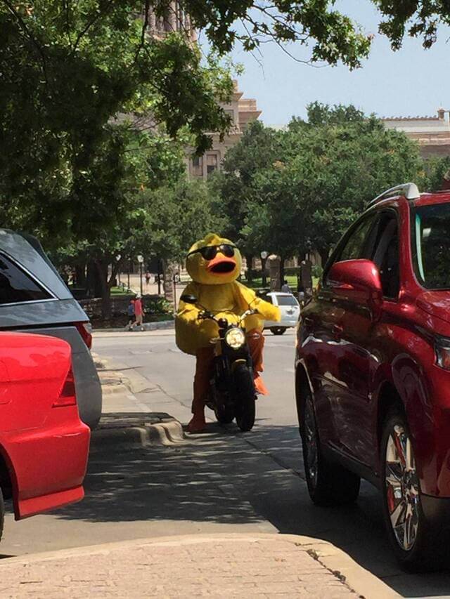 Bilderparade DCCCXCVIII BP898_69 