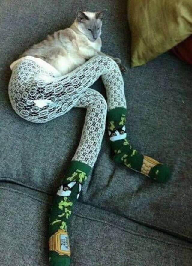 Bilderparade DCCCXCVIII BP898_72 