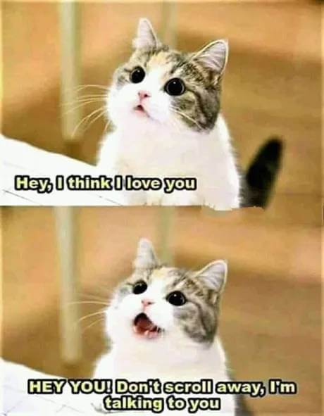 Bilderparade DCCCXCIX BP899_10 