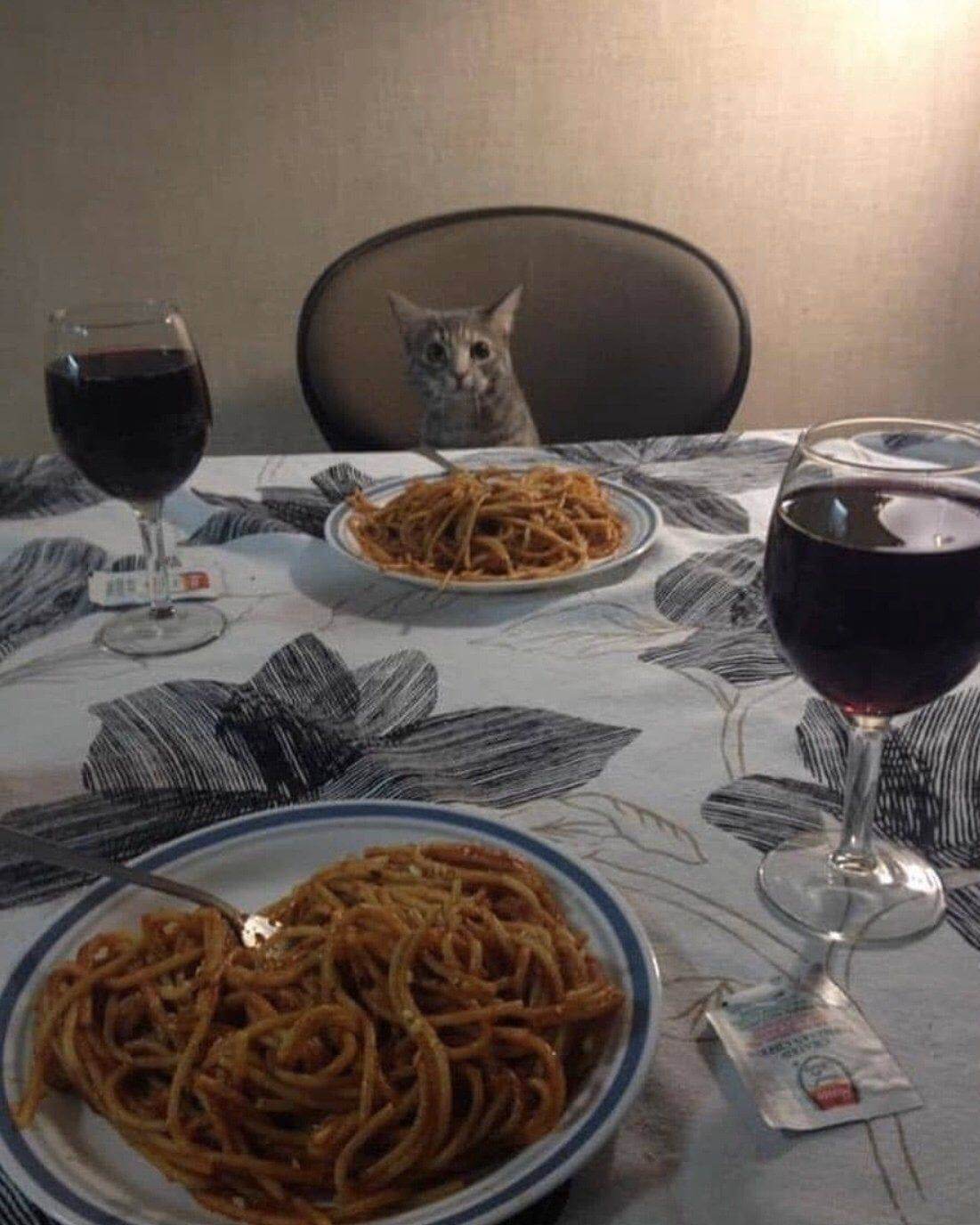 Bilderparade DCCCXCIX BP899_11 