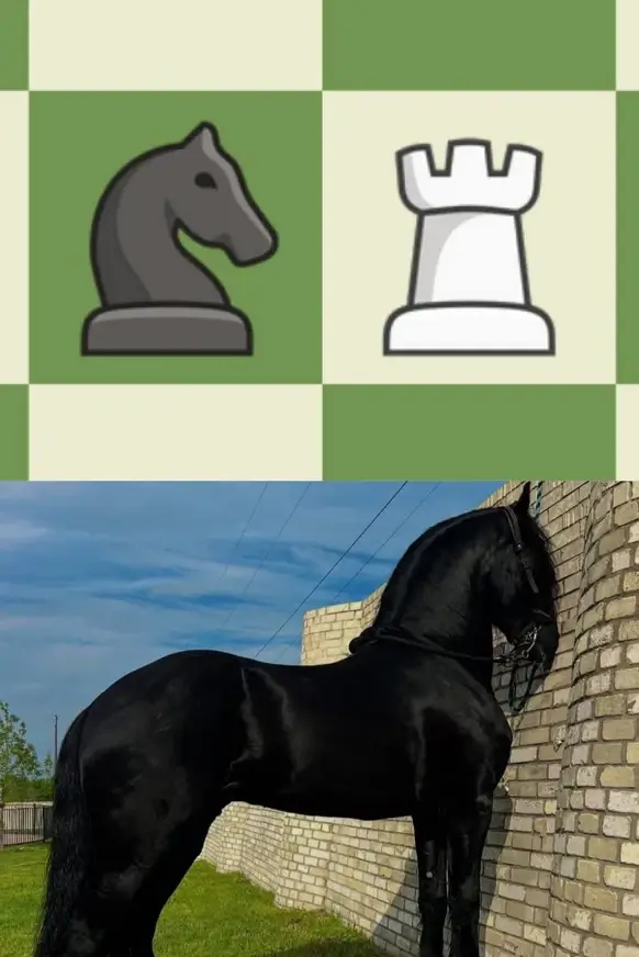 Bilderparade DCCCXCIX BP899_17 