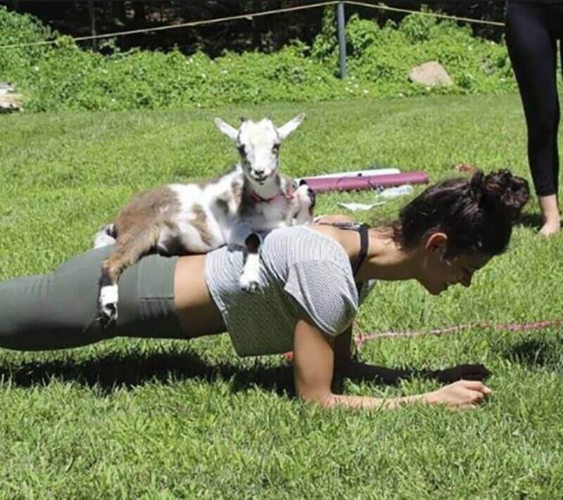 Bilderparade DCCCXCIX BP899_23 