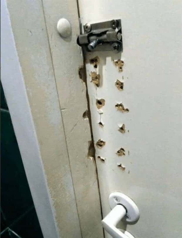 Bilderparade DCCCXCIX BP899_34 