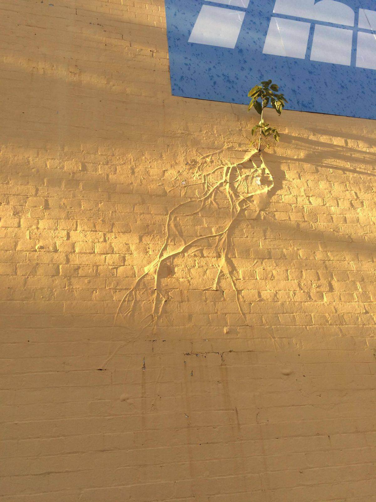 Bilderparade DCCCXCIX BP899_35 