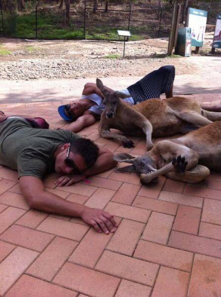 Bilderparade DCCCXCIX BP899_37 