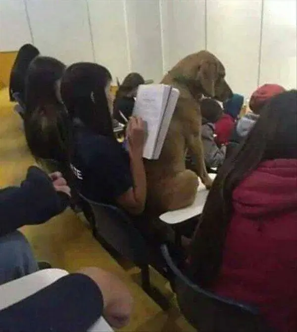 Bilderparade DCCCXCIX BP899_49 