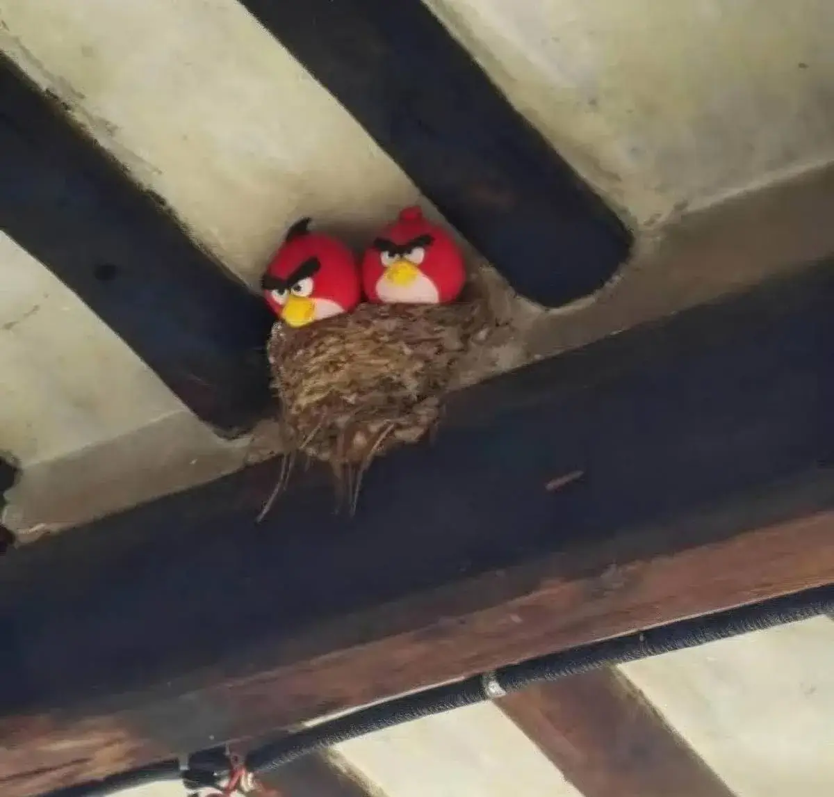 Bilderparade DCCCXCIX BP899_74 