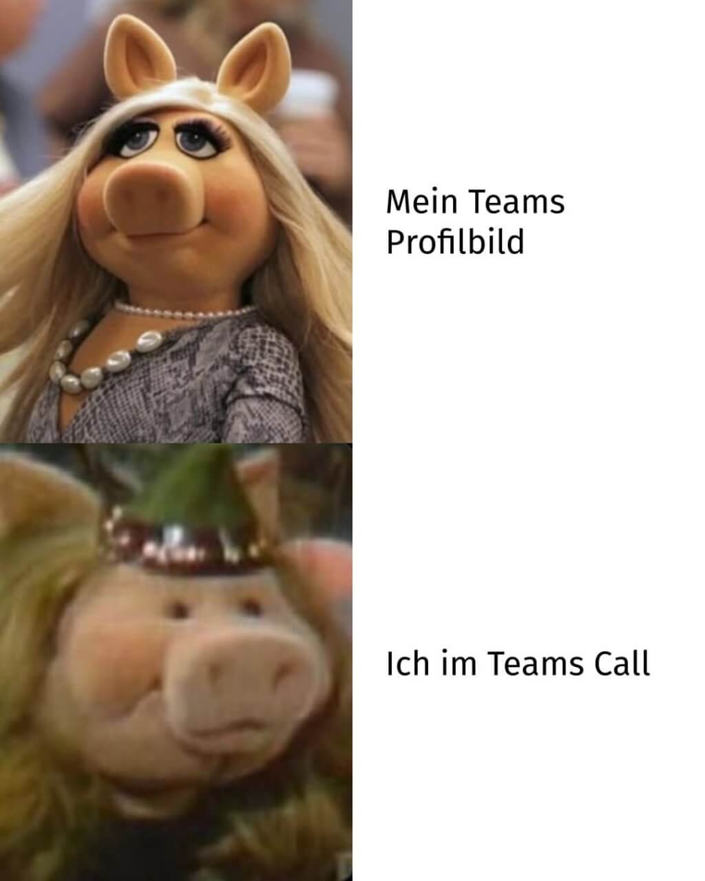 Bilderparade DCCCXCIX BP899_83 