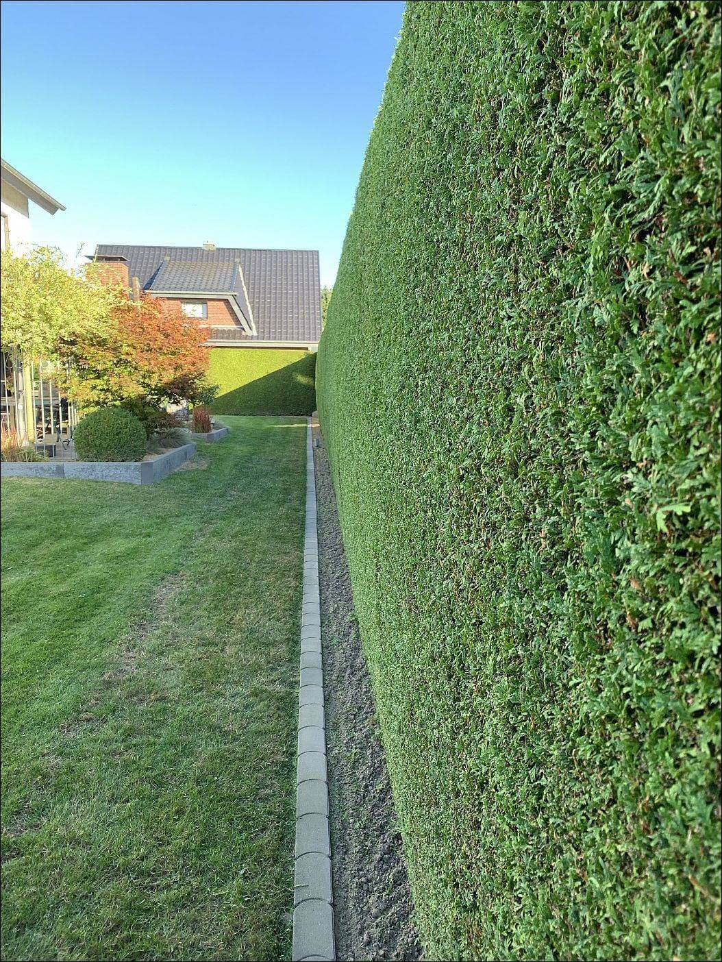 Bilderparade DCCCXCIX BP899_85 