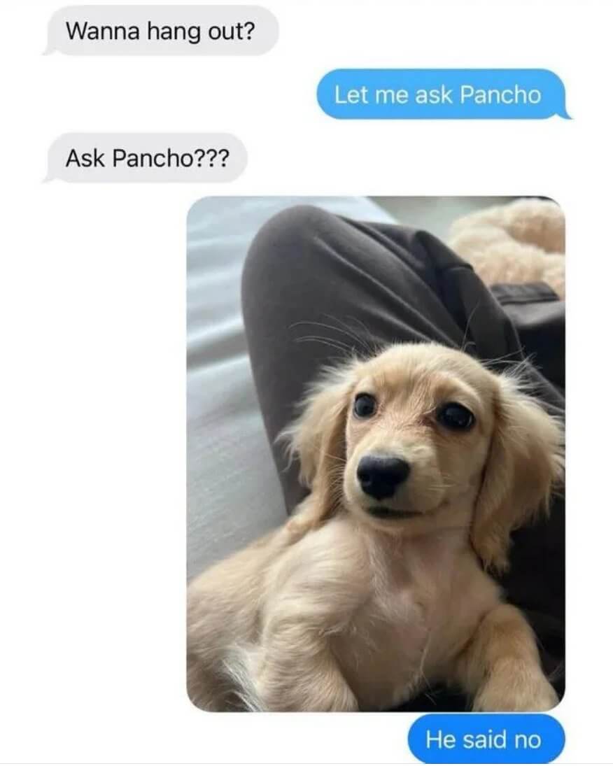 Bilderparade CM BP900_103 