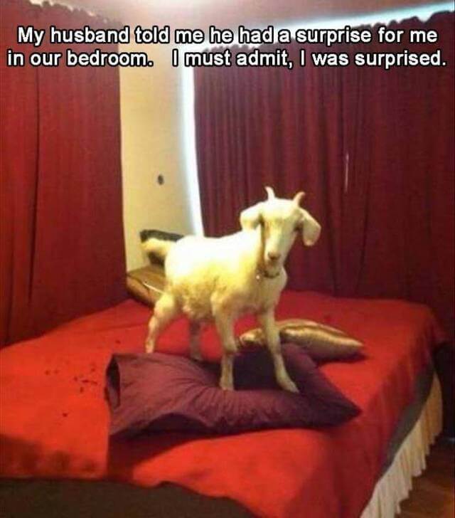 Bilderparade CM BP900_106 