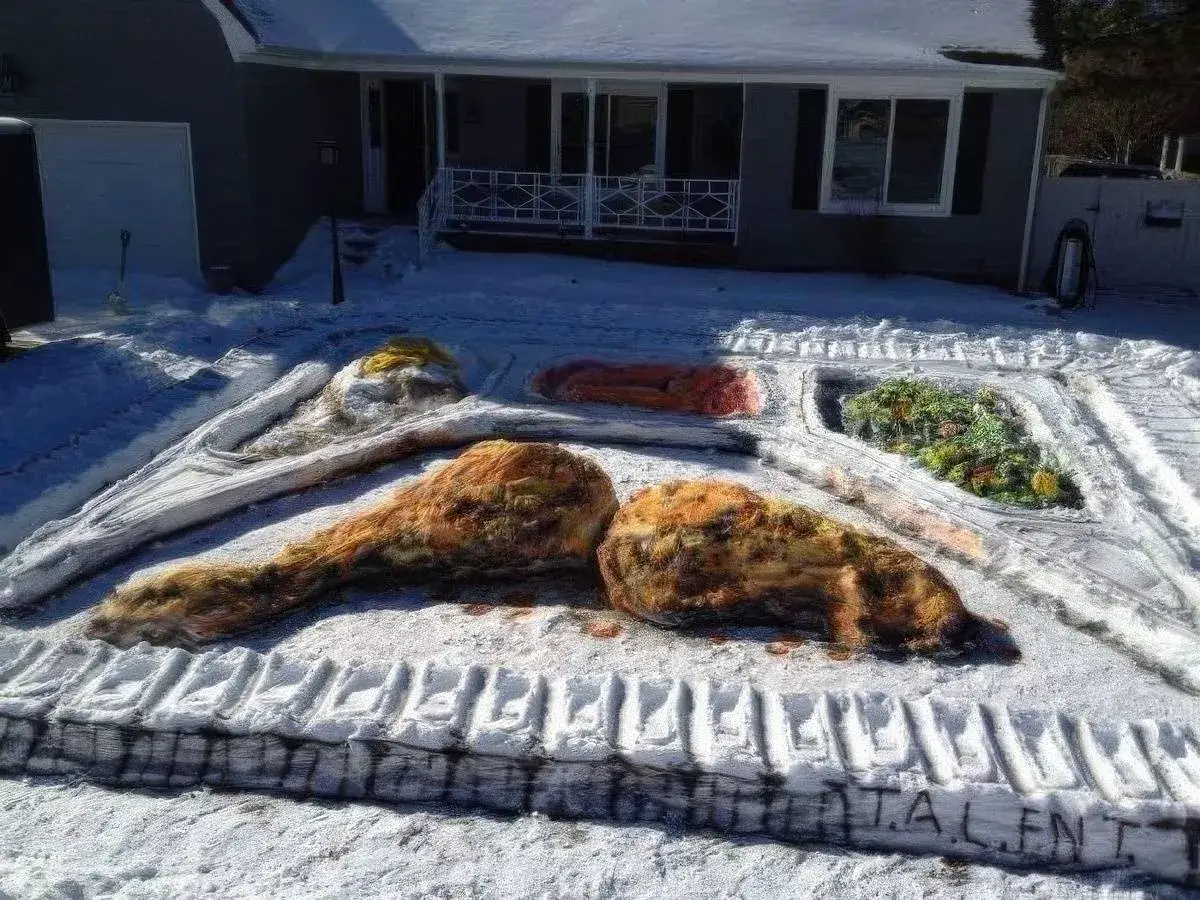 Bilderparade CM BP900_112 