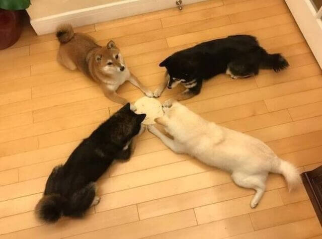 Bilderparade CM BP900_129 