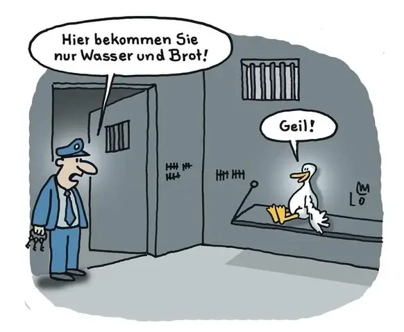 Bilderparade CM BP900_17