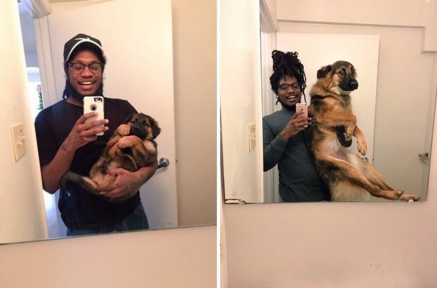 Bilderparade CM BP900_25