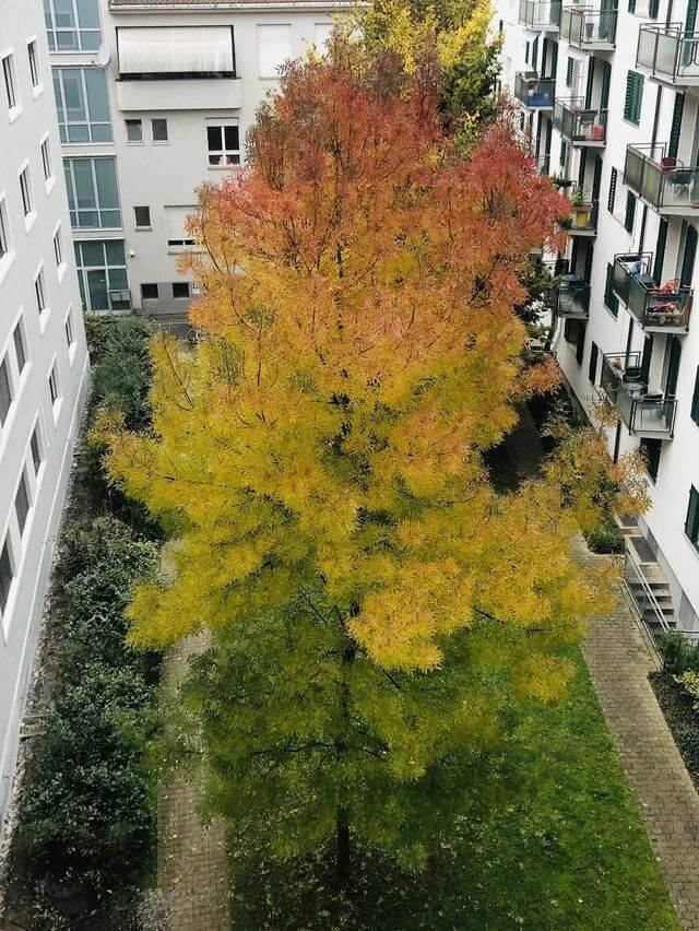 Bilderparade CM BP900_42 