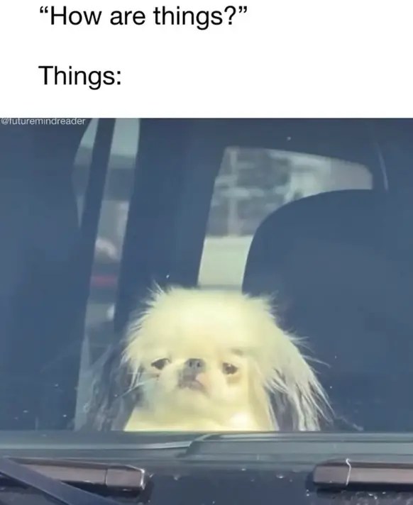 Bilderparade CM BP900_56 