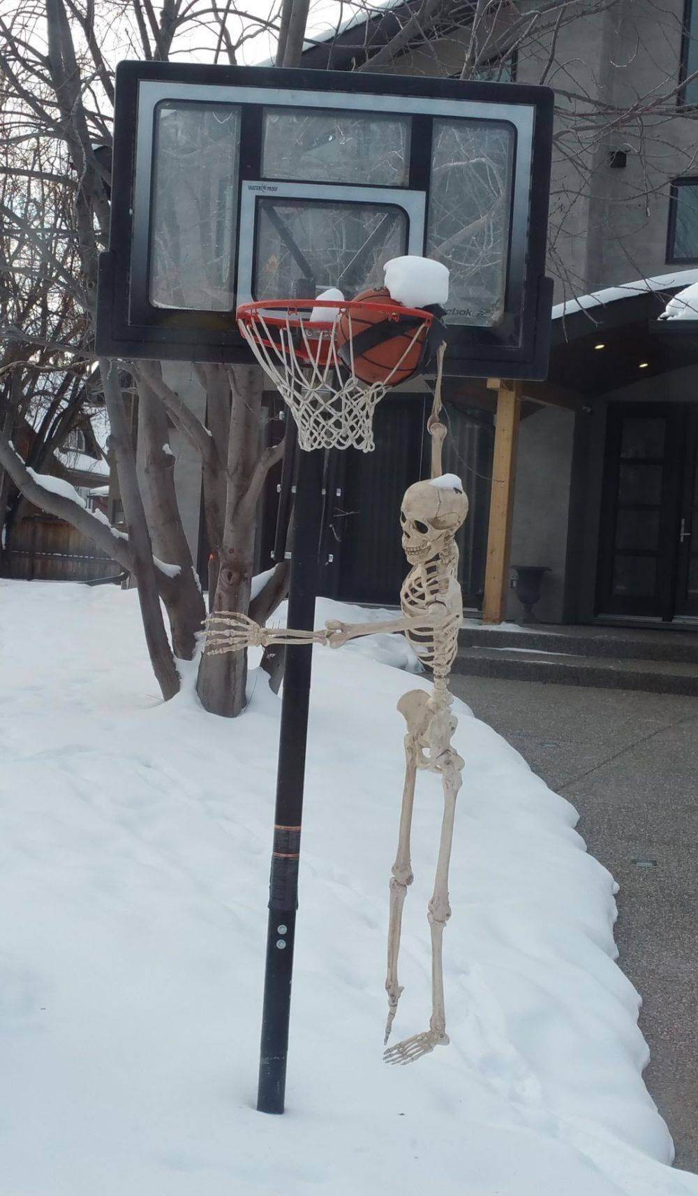 Bilderparade CM BP900_61 