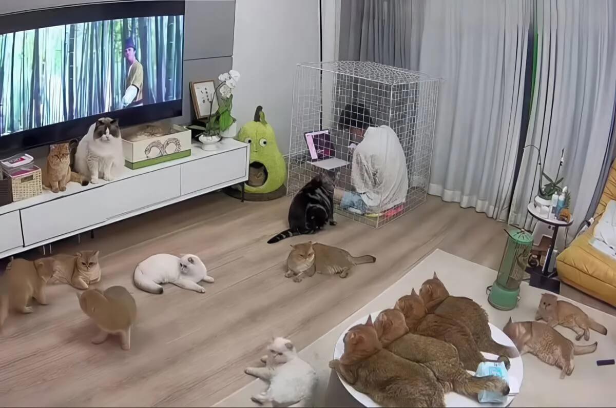 Bilderparade CM BP900_64 