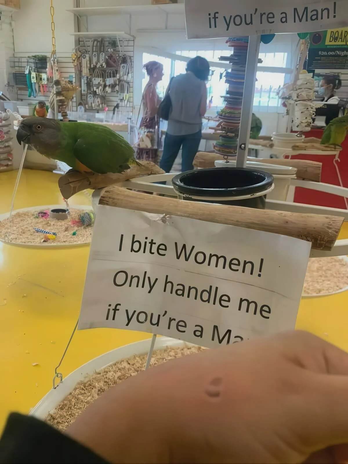 Bilderparade CM BP900_65 