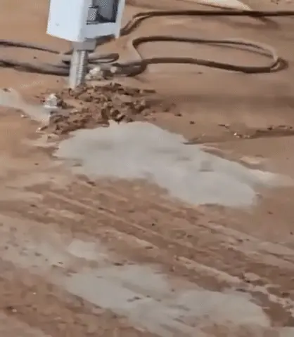 GIFparade CLXIII GP163_03 