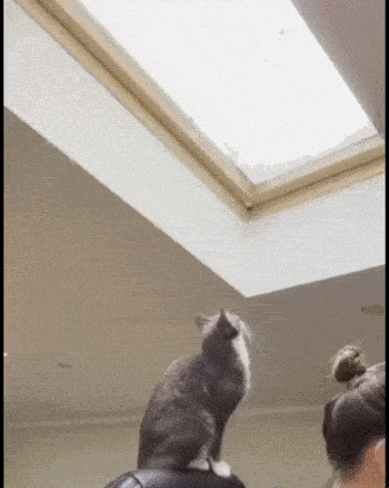 GIFparade CLXIII GP163_07 