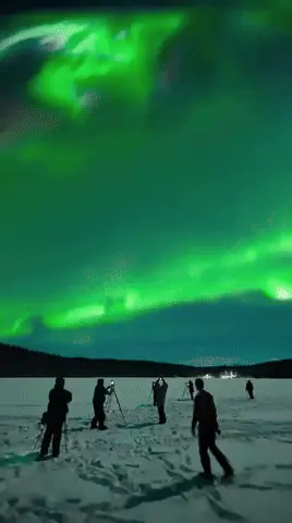 GIFparade CLXIII GP163_14 