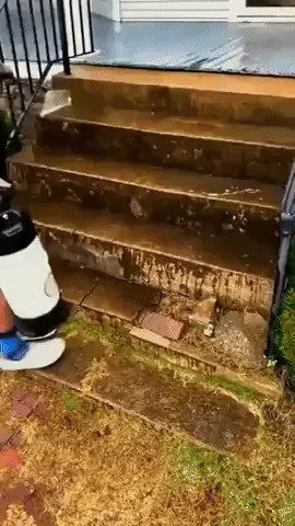 GIFparade CLXIII GP163_17 