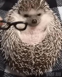 GIFparade CLXIII GP163_20 