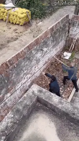 GIFparade CLXIII GP163_30 