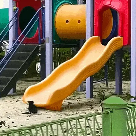 GIFparade CLXIII GP163_36 