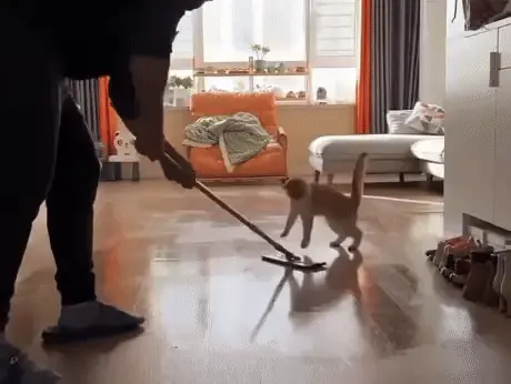 GIFparade CLXIII GP163_38 