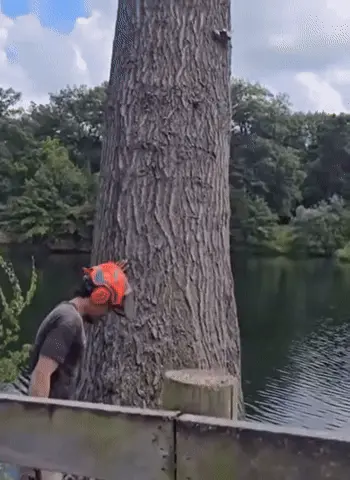 GIFparade CLXIII GP163_39 