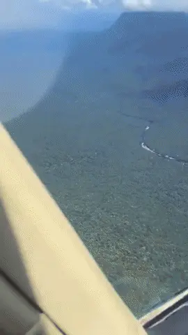 GIFparade CLXIII GP163_40 